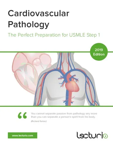 Cardiovascular Pathology The Perfect Preparation for USMLE Step 1