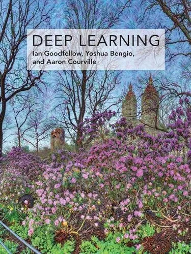 Deep learning: adaptive computation and machine learning