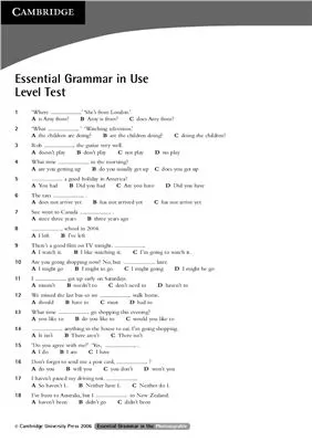 Essential Grammar in Use level test with Answer Key