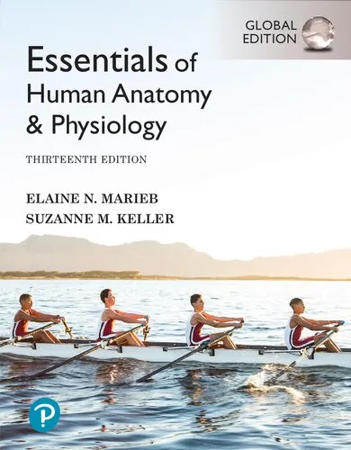 Essentials of Human Anatomy and Physiology [RENTAL EDITON]