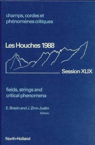 Field Theory Methods and Quantum Critical Phenomena - Fields, Strings and Critical Phenomena, p. 563-640, (ed. E. Brézin and J. Zinn-Justin, 1990)