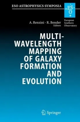 Multiwavelength Mapping of Galaxy Formation and Evolution: Proceedings of the ESO Workshop Held at Venice, Italy, 13-16 October 2003 (ESO Astrophysics Symposia)