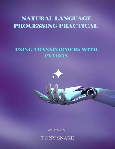 Natural Language Processing Practical using Transformers with Python