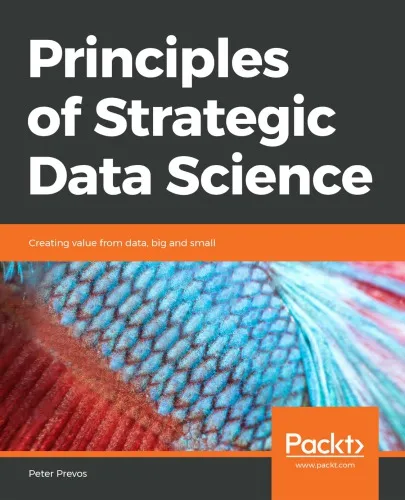 Principles of Strategic Data Science: Creating Value from Data, Big and Small