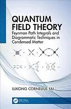 Quantum Field Theory : Feynman Path Integrals and Diagrammatic Techniques in Condensed Matter