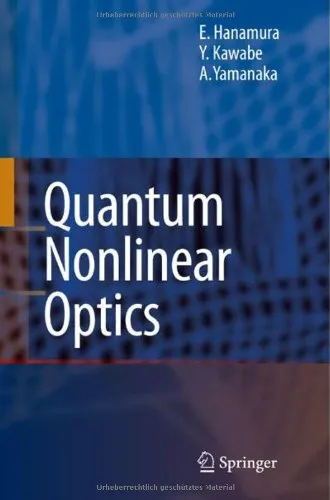 Quantum nonlinear optics