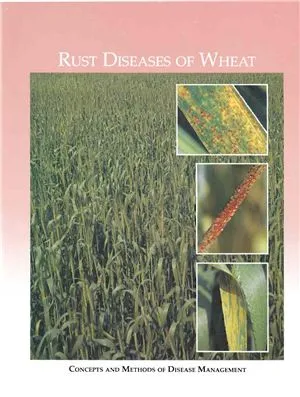 Rust Diseases of Wheat: Concepts and methods of disease management