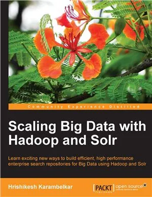 Scaling Big Data with Hadoop and Solr