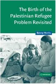 The Birth of the Palestinian Refugee Problem Revisited