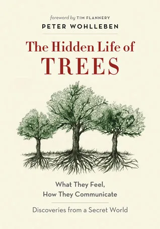 The Hidden Life of Trees: What They Feel, How They Communicate – Discoveries from a Secret World: the illustrated edition