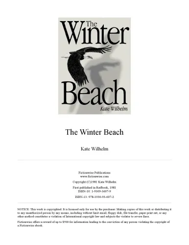 The Winter Beach